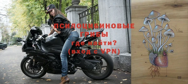 гашик Алзамай