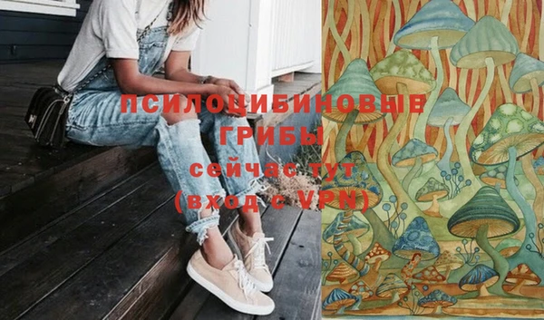 гашик Алзамай
